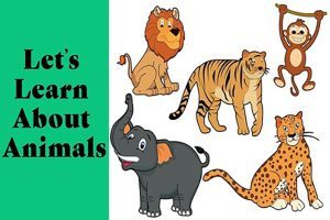 آموزش حیوانات به انگلیسی به کودکان